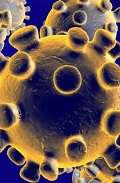 El coronavirus de Twiter