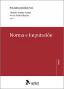 Norma e imputacin