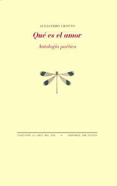 Qu es el amor
