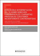 Evolucin e interpretacin del TC sobre derechos fundamentales y garantas procesales