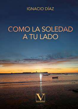 Como la soledad a tu lado