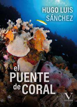 El puente de coral