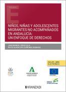 Nios, nias y adolescentes migrantes no acompaados en Andaluca: un enfoque de derechos