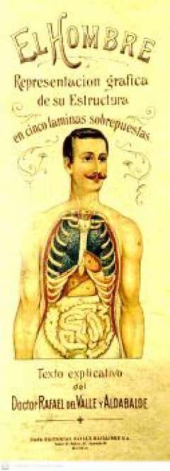 El hombre