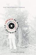 La cmara de Arthur Rimbaud