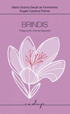 Brindis