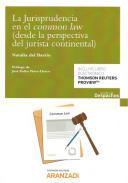 La jurisprudencia en el common law