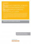 Propiedad forestal pblica y utilizacin energtica de la biomasa forestal en Castilla y Len