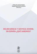 Delincuencia y justicia juvenil en Espaa