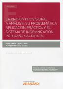 La prisin provisional a anlisis