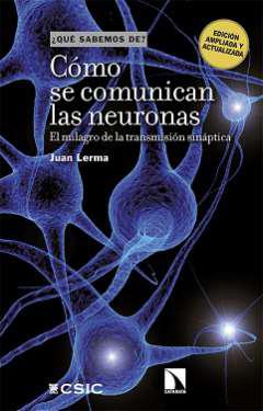 Cmo se comunican las neuronas