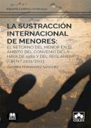 La sustraccin internacional de menores