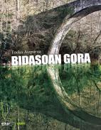 Bidasoan gora