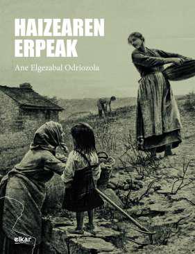 Haizearen erpeak