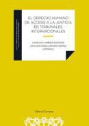 El derecho humano de acceso a la justicia en tribunales intenacionales