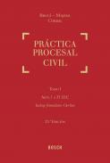 Prctica procesal civil