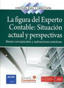 La figura del experto contable: situacin actual y perspectivas