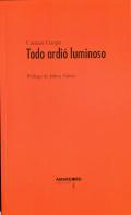 Todo ardi luminoso