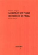 Hai tanto que non estabas