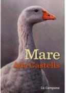 Mare