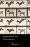 Animatgrafo