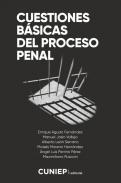 Cuestiones bsicas del proceso penal
