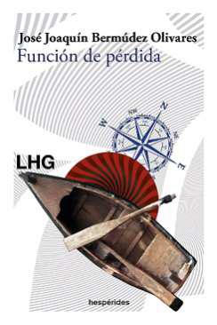 Funcin de prdida