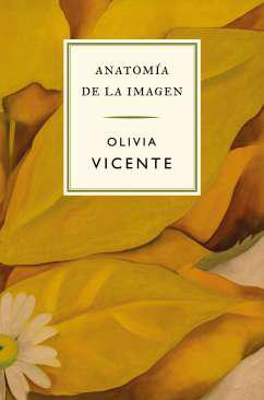 Anatoma de la imagen