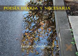 Poesa diaria y necesaria