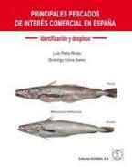 Principales pescados de interés comercial en España