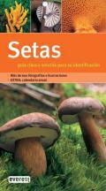 Setas
