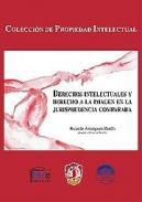 Derechos intelectuales y derecho a la imagen en la jurisprudencia comparada 