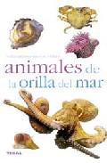 Fauna de Europa