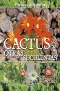 Cactus y otras suculentas