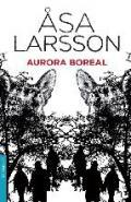 Aurora boreal