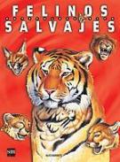 Felinos salvajes