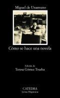 Cmo se hace una novela
