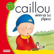 Caillou observa los pjaros