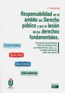 Responsabilidad en el ámbito del derecho público por la lesión de los derechos fundamentales
