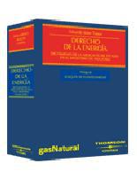 El derecho de la energa