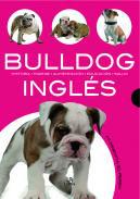 Bulldog ingls