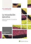 La recaudacin ejecutiva