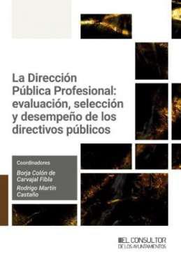 La Direccin Pblica Profesional