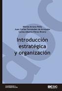 Introduccin estratgica y organizacin