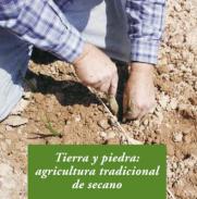Tierra y piedra