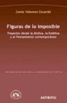 Figuras de lo imposible