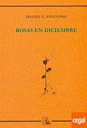 Rosas en diciembre