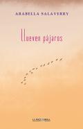 Llueven pjaros
