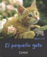 El pequeo gato