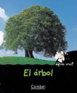 El rbol